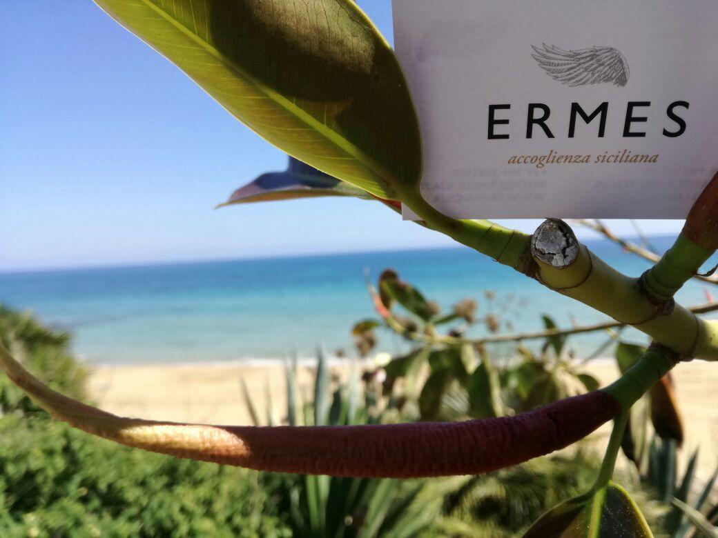Ermes Bed & Breakfast อาโวลา ภายนอก รูปภาพ